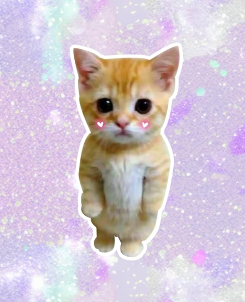Admin Avatar